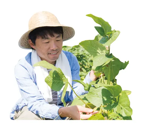 畑で作業をする男性