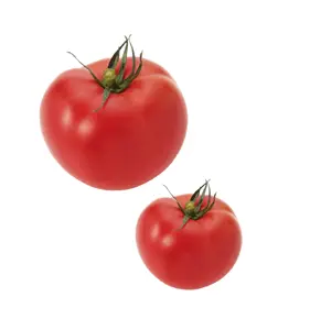 トマト